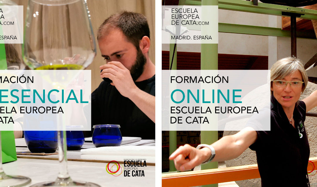 cursos de cata de aceite de oliva