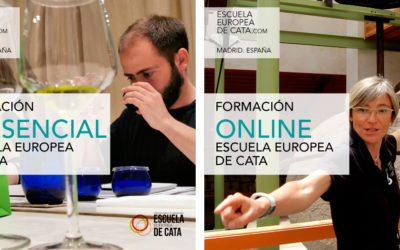 Nueva oferta de Cursos y Talleres ONLINE